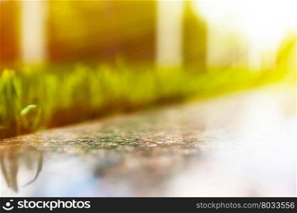 Horizontal grass bed with light leak bokeh background