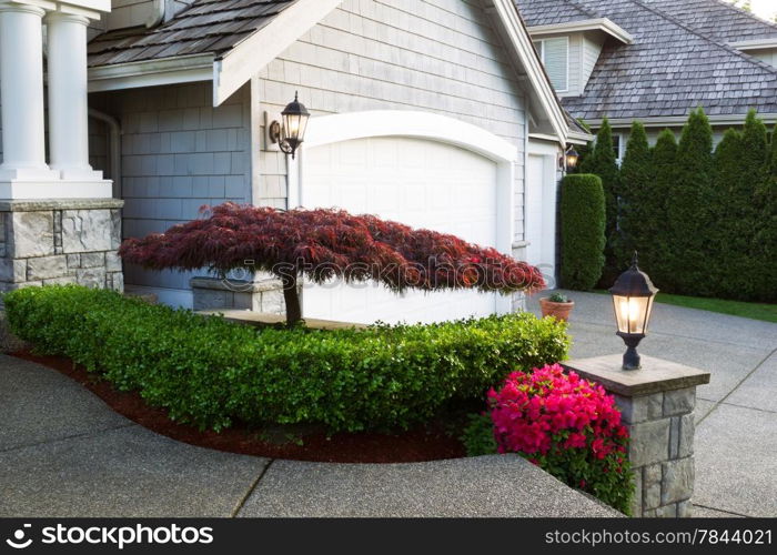 Horizontal photo of blooming Japanese maple tree in front of home exterior during late spring season evening