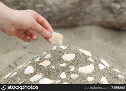 Horizontal photo of female hand placing a seashell on a mound of sand with other shells