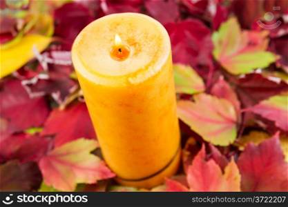 Horizontal photo of seasonal candle surrounded by autumn leaves