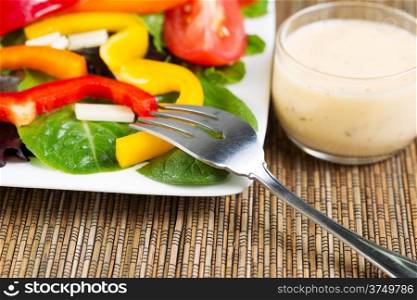 Horizontal photo of stainless steel fork with dressing and salad in background