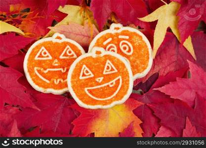 Horizontal photo of three seasonal sugar cookies surrounded by fall maple leaves