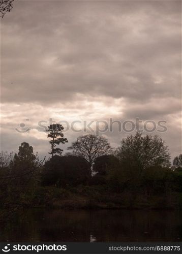 Horizontal Shot of A Cloudy and Overcast Spring Day over a Lake and the Rooftop of the Tree tops