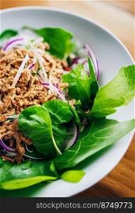 Horizontal shot of delicious thai style pork larb salad 3d illustrated