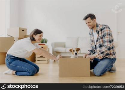 Horizontal shot of lovely woman moves cardboard box with small puppy to husband side, spend free time together, move in new modern dwelling, unpack belongings, start new life in modern flat.