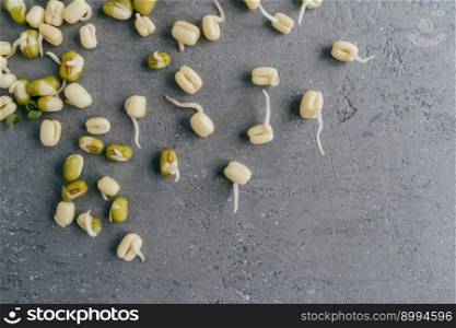 Horizontal shot of sprouted mung beans for your healthy eating isolated over grey background with copy space. Flat lay. Healthy grams