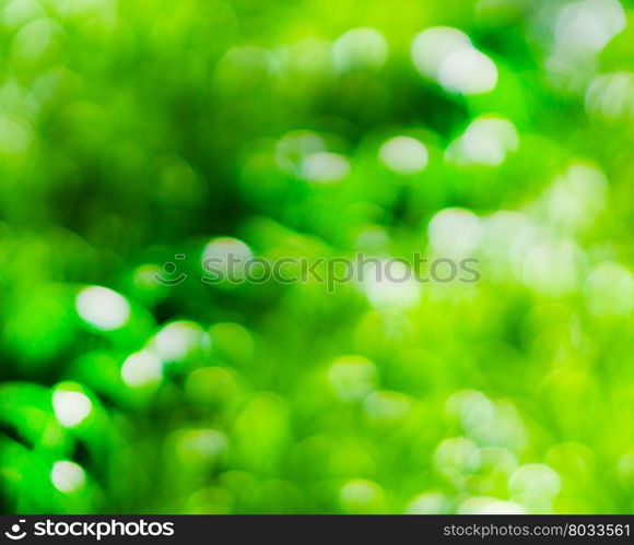 Horizontal vivid green bokeh background backdrop