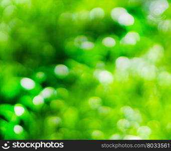 Horizontal vivid green bokeh background backdrop