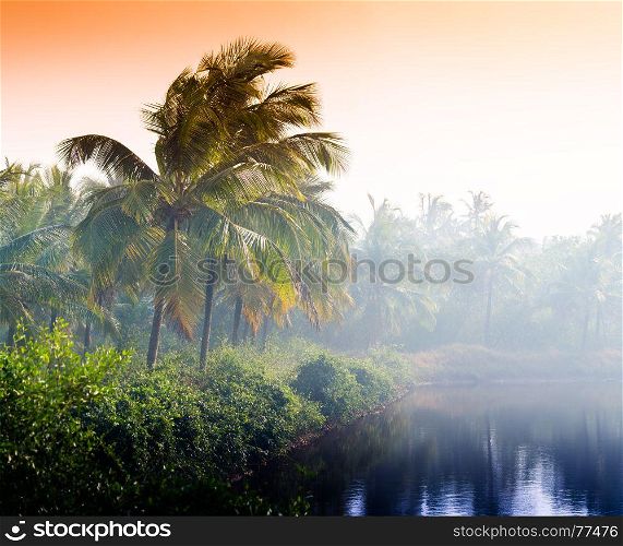 Horizontal vivid indian sunset palm on lake beach background backdrop. Horizontal vivid indian sunset palm on lake beach background bac