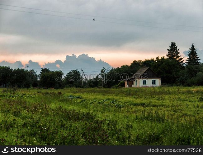 Horizontal vivid Ukraine village painting background