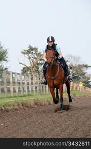 Horse and rider in a field