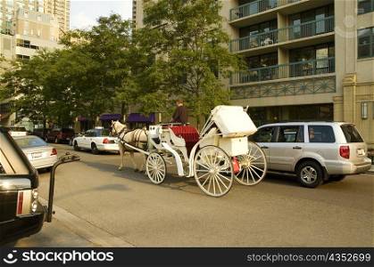 Horse cart in front of building, Chicago, Illinois, USA