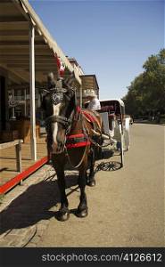 Horse cart on a street