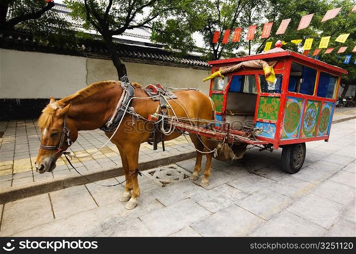 Horse cart on the road, Qufu, Shandong Province, China