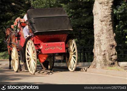 Horse cart on the road, USA