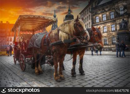 horse cart rides along Dresden. Germany. Europe. horse cart rides along Dresden.