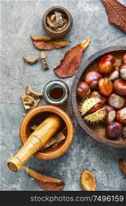 Horse chestnut oil extract in herbal medicine.. Chestnut in herbal medicine