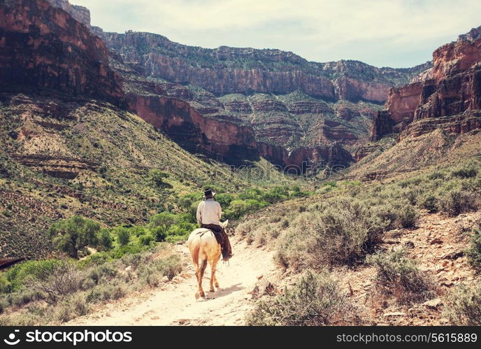 Horse hiking in Grand Canyon