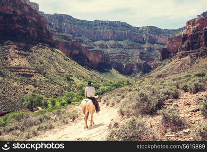 Horse hiking in Grand Canyon