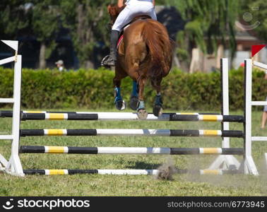 Horse jump a hurdle in competition