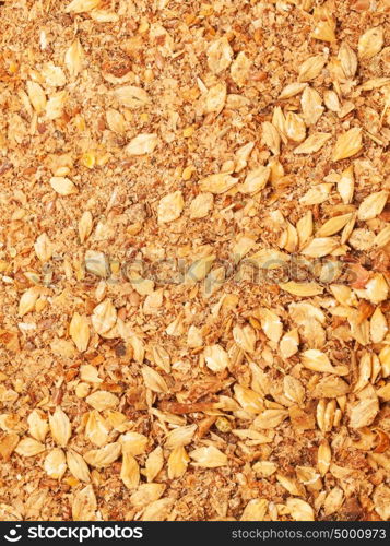 horse muesli background. close up