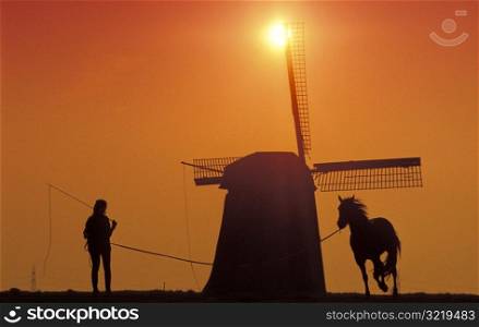 Horse Running Around Windmill at Sunset