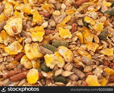 horse sportive muesli with corn flakes background