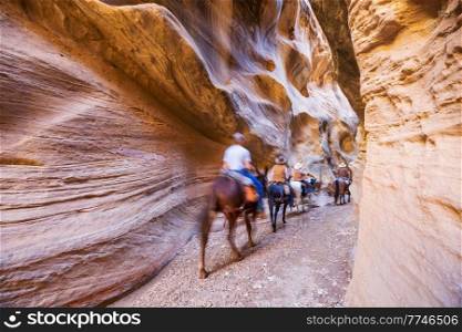 Horse tour in slot canyon in Grand Staircase Escalante National park, Utah, USA.