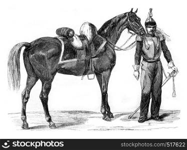 Horse Warmblood of cavalry, vintage engraved illustration. Magasin Pittoresque 1845.