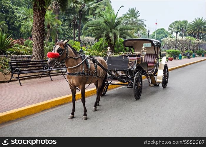 Horse with carriage in Intramuros, Manila, Philippines