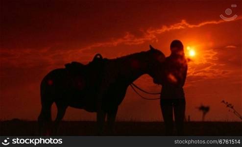 Horseback riding silhouette of girl with horse standing in field at sunset