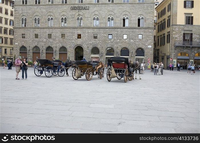 Horsedrawns in front of a building, Florence, Italy