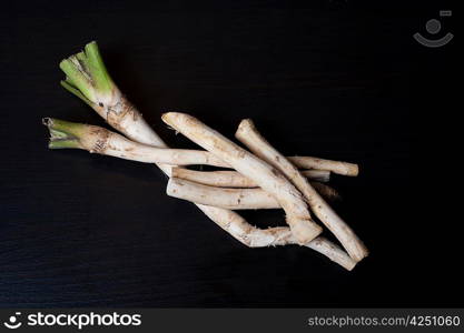 horseradish