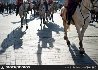 Horses during the military parade with shadows on the ground