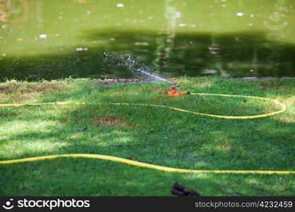 hose with water on a background of green grass