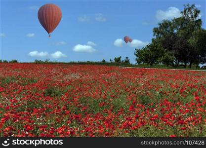 Hot air ballons drifting over a colorful field of poppies in the Yorkshire countryside in northeast England.