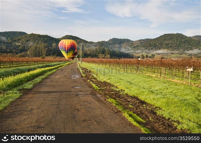 Hot air balloons awaiting flight, Napa, California