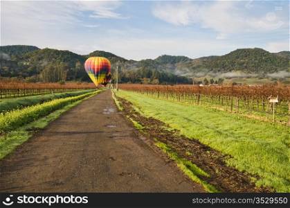 Hot air balloons awaiting flight, Napa, California