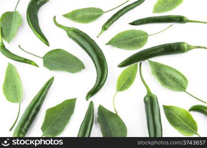hot chili pepper. green hot chili pepper with leaves on a white background
