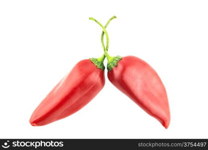 hot chili pepper. Two red hot chili pepper on a white background