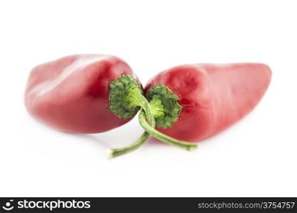 hot chili pepper. Two red hot chili pepper on a white background
