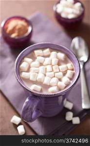 hot chocolate with mini marshmallows in purple mug