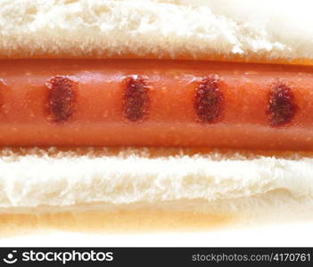 hot dog , close up shot