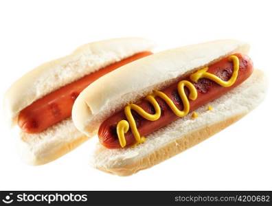 hot dogs , close up on white background