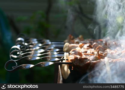 hot lamb shish kebab on skewers