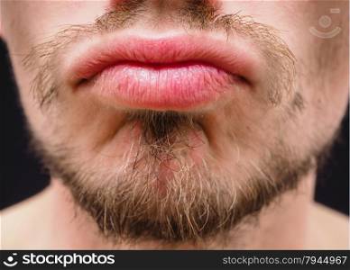 Hot male lips with untrimmed beard at closeup