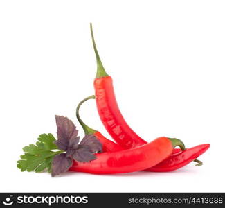 Hot red chili or chilli pepper and aromatic herbs leaves still life isolated on white background cutout