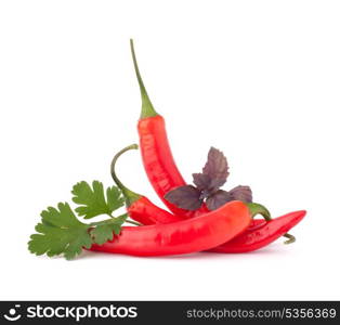 Hot red chili or chilli pepper and aromatic herbs leaves still life isolated on white background cutout