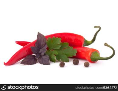 Hot red chili or chilli pepper and aromatic herbs leaves still life isolated on white background cutout