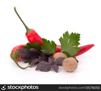 Hot red chili or chilli pepper and aromatic herbs leaves still life isolated on white background cutout